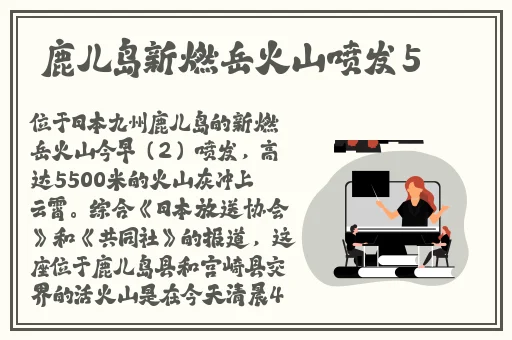毁灭博士卡组